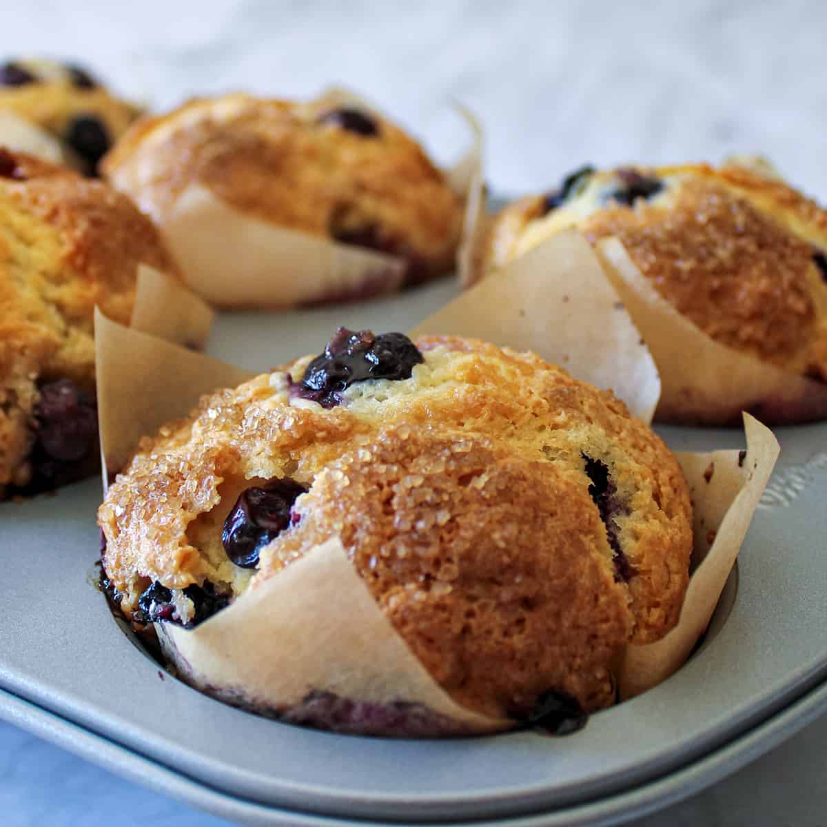Gluten Free Blueberry Muffin