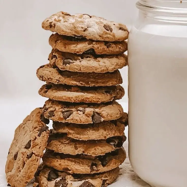 best cookies for Santa vegan edition